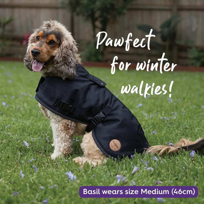 Adventure Dog Coat with Harness Hatch, Black
