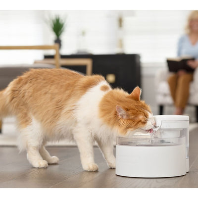 PetSafe Outlast Pumpless Pet Fountain | 1.7L