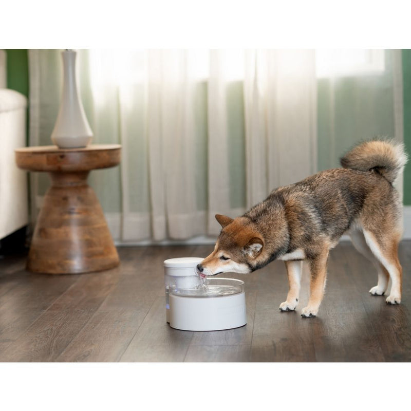 PetSafe Outlast Pumpless Pet Fountain | 1.7L