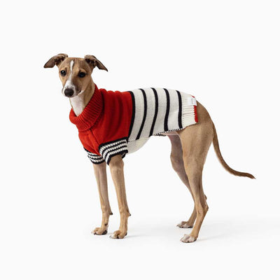 Emerson Knitted Dog Jumper