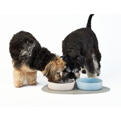 Large Ceramic Dog Bowl, Sky