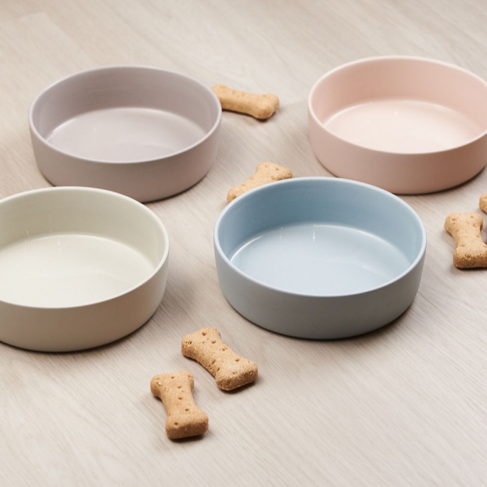Large Ceramic Dog Bowl, Sky