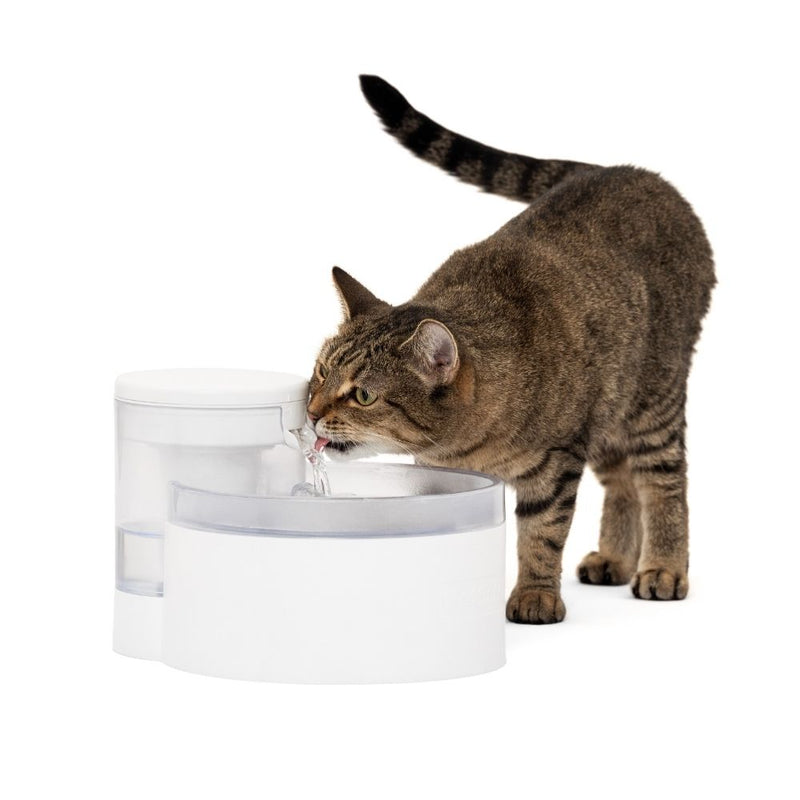 PetSafe Outlast Pumpless Pet Fountain | 1.7L
