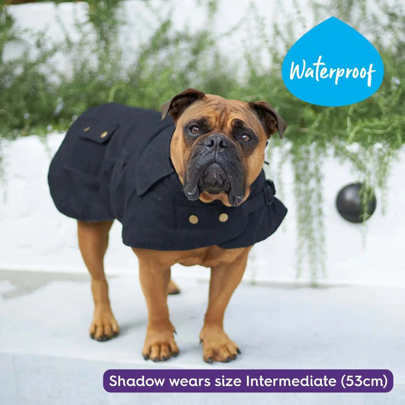 Aussie Oilskin Waterproof Dog Coat, Black