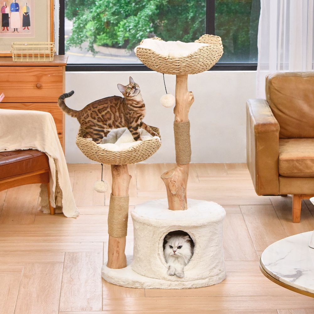 Michu Premium Real Wood Cat Tree | Large