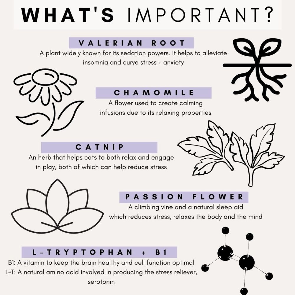 Petz Park Supplement For Cats | Stress + Anxiety