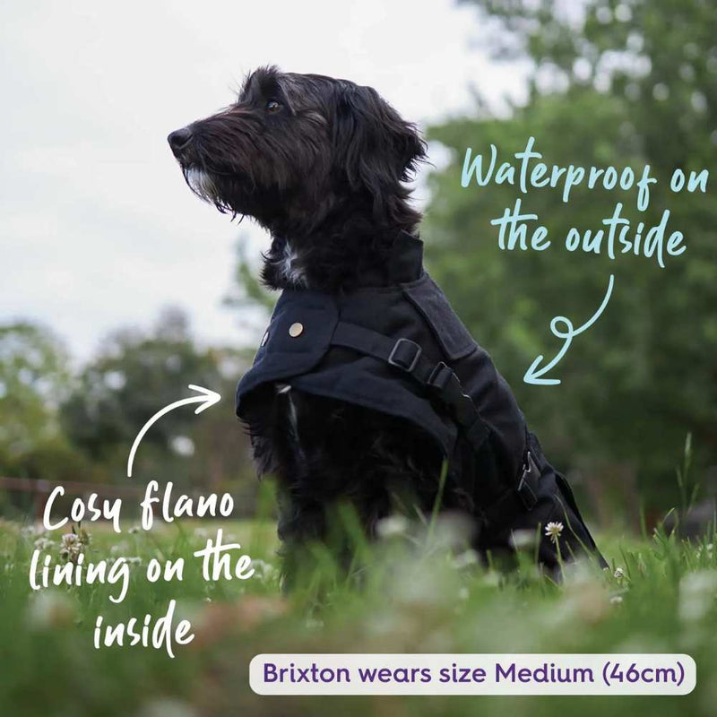 Aussie Oilskin Waterproof Dog Coat, Black