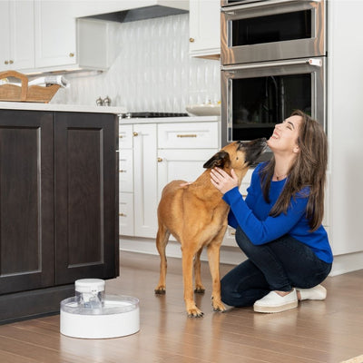 PetSafe Outlast Pumpless Dog Fountain | 3.7L