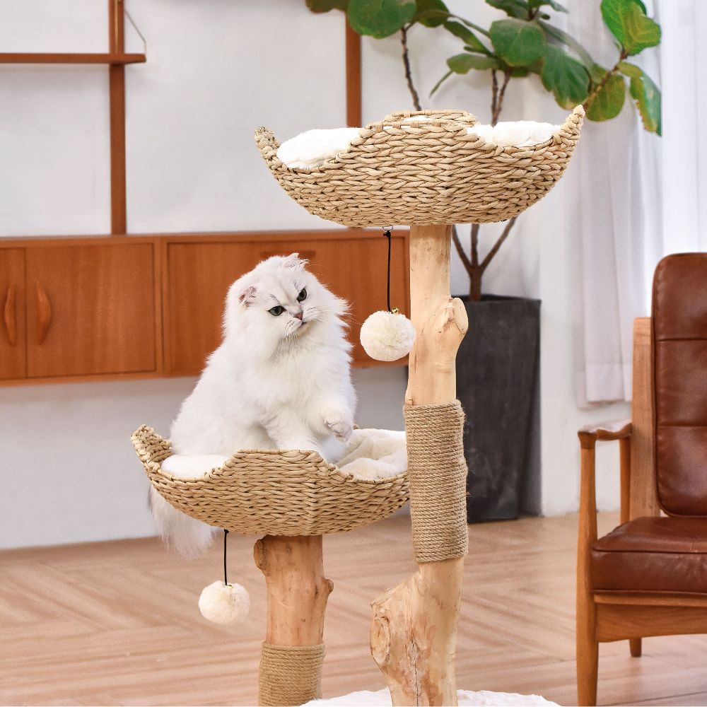 Michu Premium Real Wood Cat Tree | Large