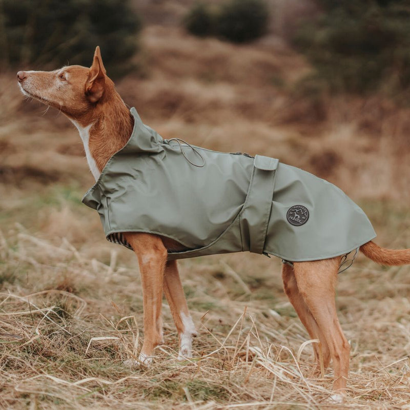 Hunter Milford Raincoat for Dogs with Harness Opening, Olive Green