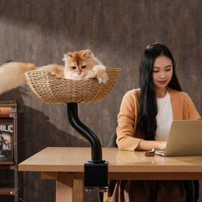 Michu DeskMate Desk-Mounted Cat Tree, Black