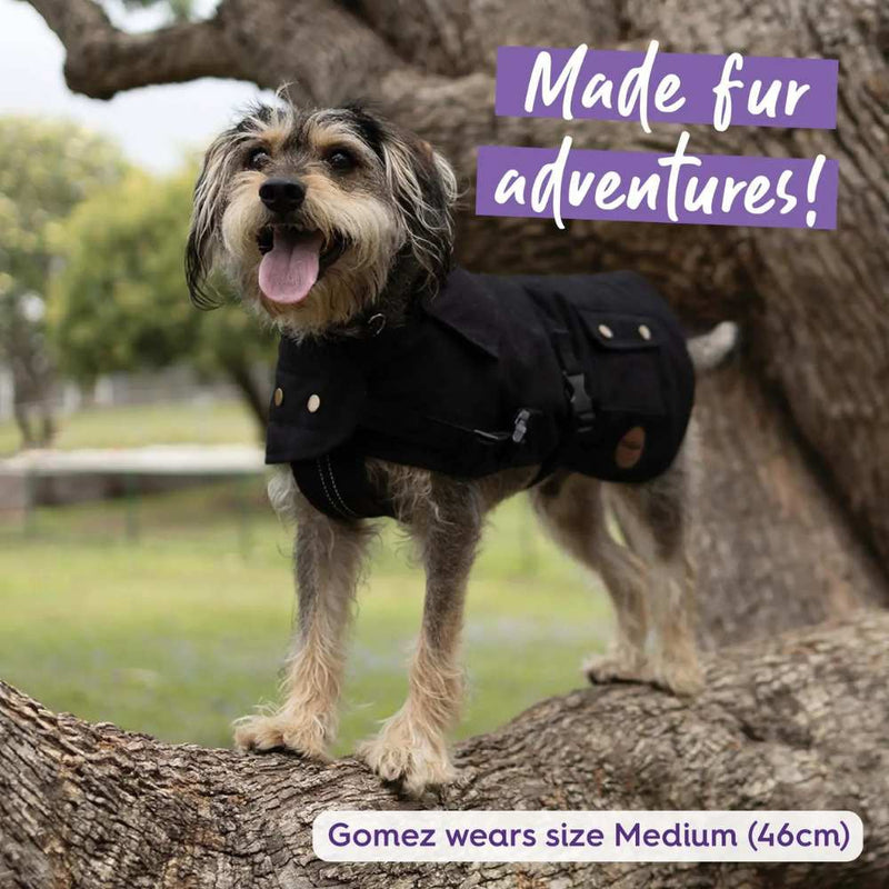 Aussie Oilskin Waterproof Dog Coat, Black