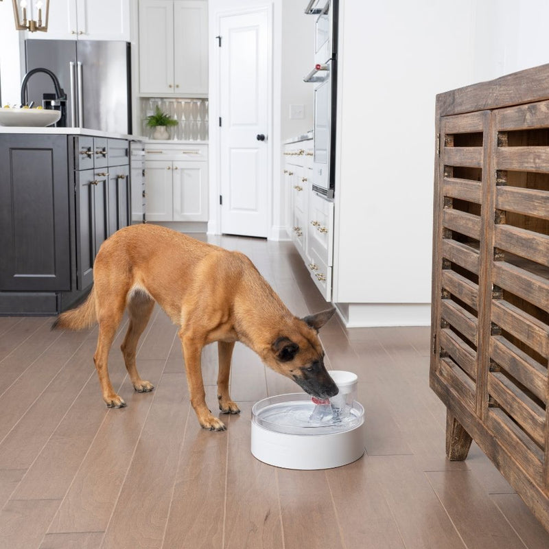 PetSafe Outlast Pumpless Dog Fountain | 3.7L