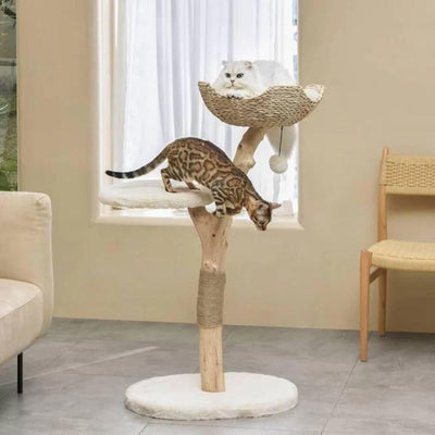 Michu Premium Real Wood Cat Tree, Medium