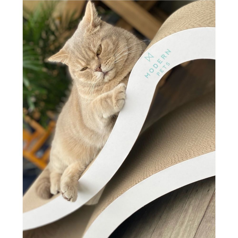 Cat Scratcher Infinity Lounge, White