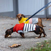 Emerson Knitted Dog Jumper