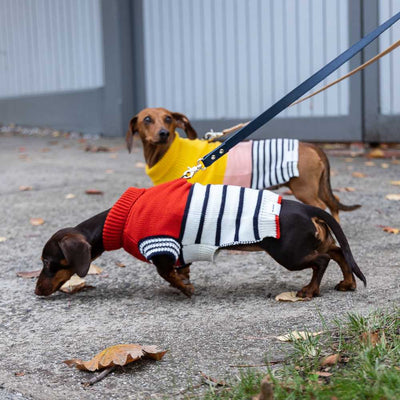Emerson Knitted Dog Jumper