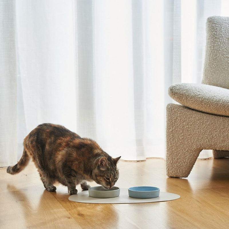 Ceramic Cat Bowl, Slate