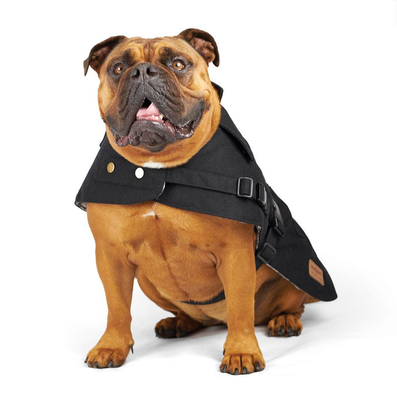Aussie Oilskin Waterproof Dog Coat, Black