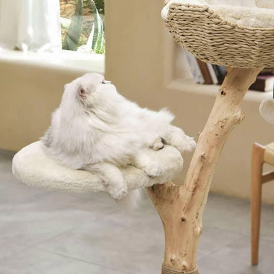 Michu Premium Real Wood Cat Tree, Medium