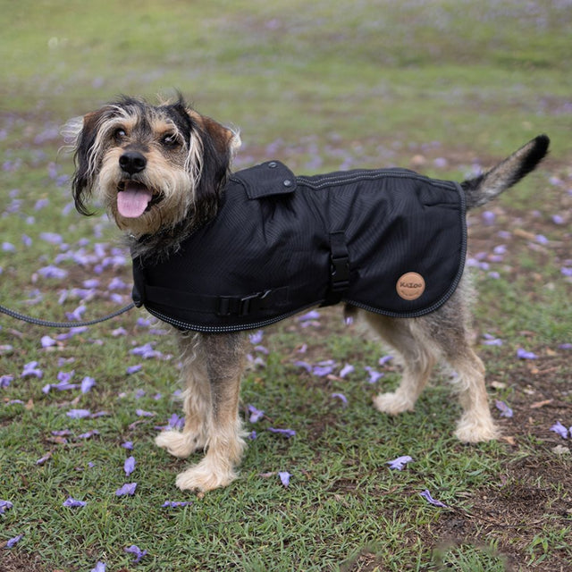 Adventure Dog Coat with Harness Hatch, Black