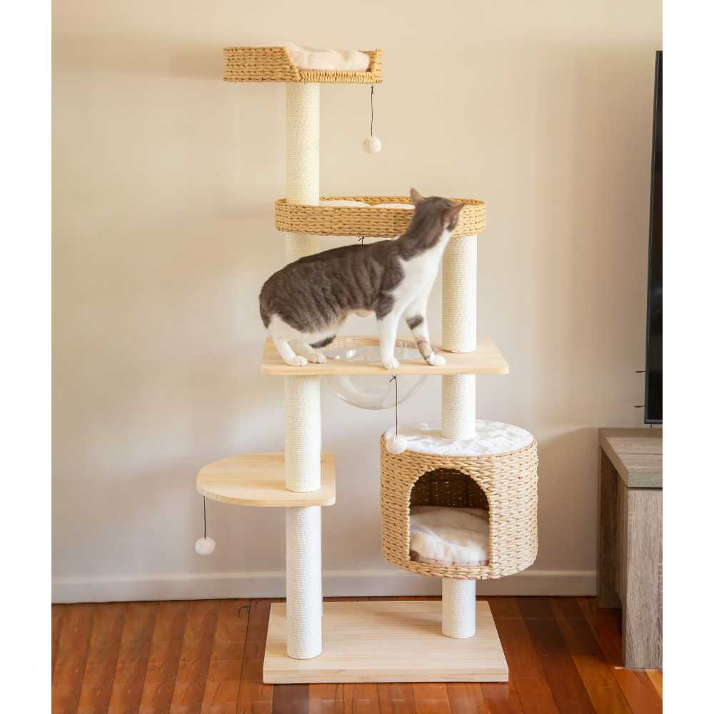 Premium Solid Wood and Natural Wicker Cat Tree Modern Pets