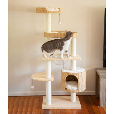 Premium Solid Wood and Natural Wicker Cat Tree