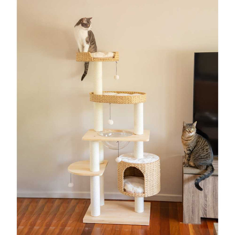 Premium Solid Wood and Natural Wicker Cat Tree Modern Pets