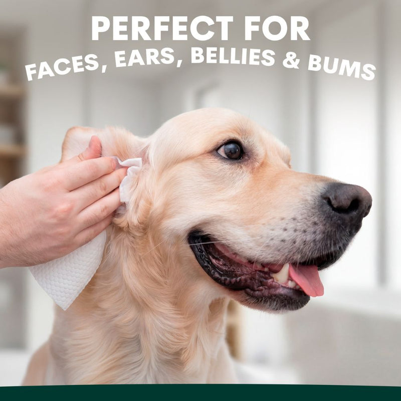 Petz Park Pet Wipes for Dogs and Cats
