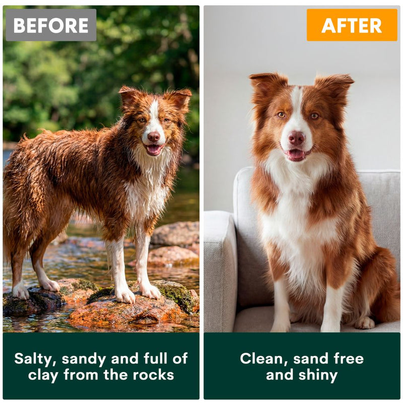Petz Park Pet Wipes for Dogs and Cats