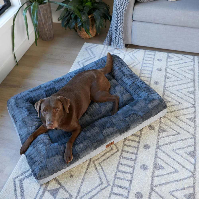 Cloud Comfort Dog Bed, Charcoal & Grey