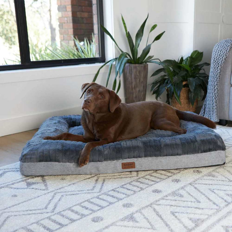 Cloud Comfort Dog Bed, Charcoal & Grey