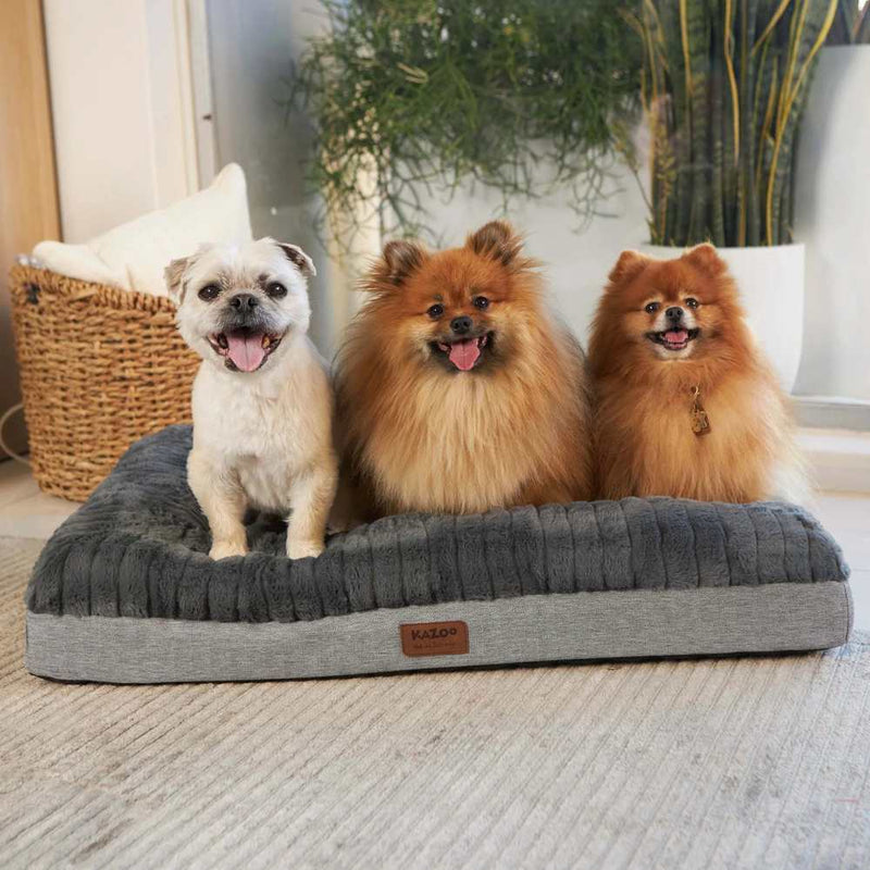 Cloud Comfort Dog Bed, Charcoal & Grey