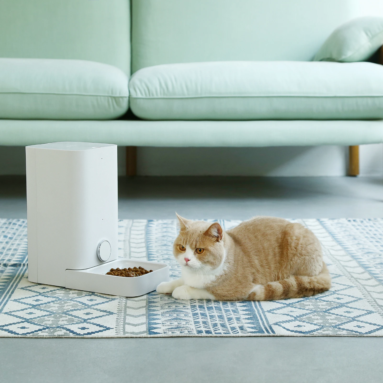 Petkit Fresh Element Mini Smart Automatic Pet Feeder, White