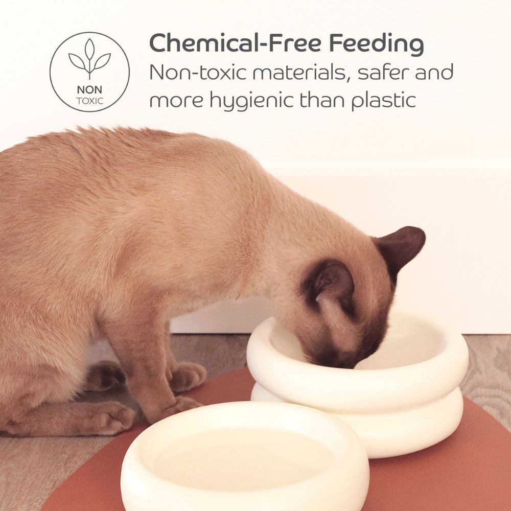 Ceramic Cat Dining Bowl - Elevated