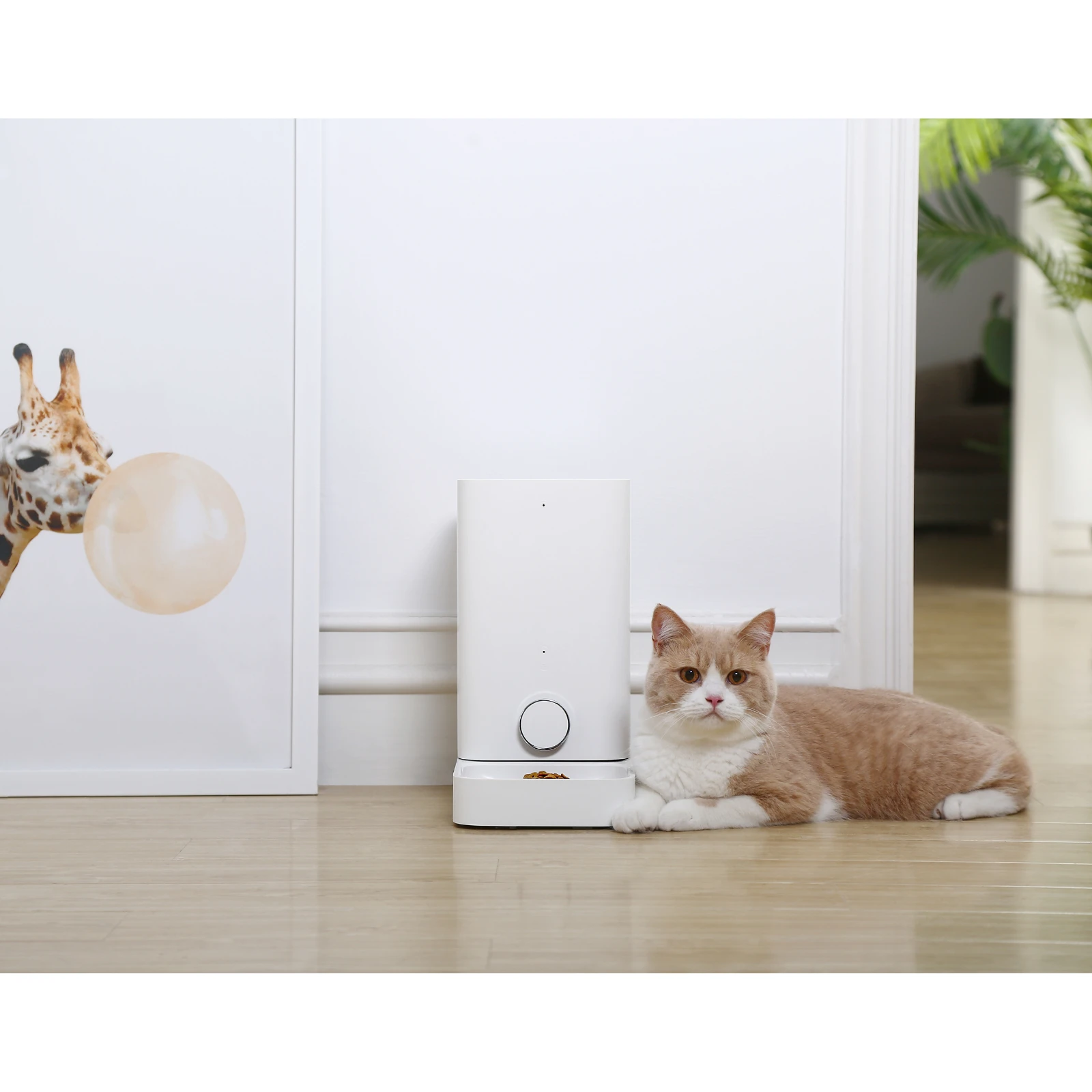 Petkit Fresh Element Mini Smart Automatic Pet Feeder, White