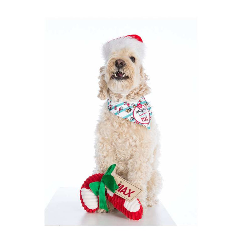 Candy Cane Christmas Dog Toy