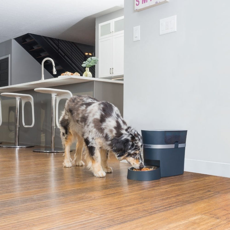 PetSafe Smart Feed Automatic Dog & Cat Feeder