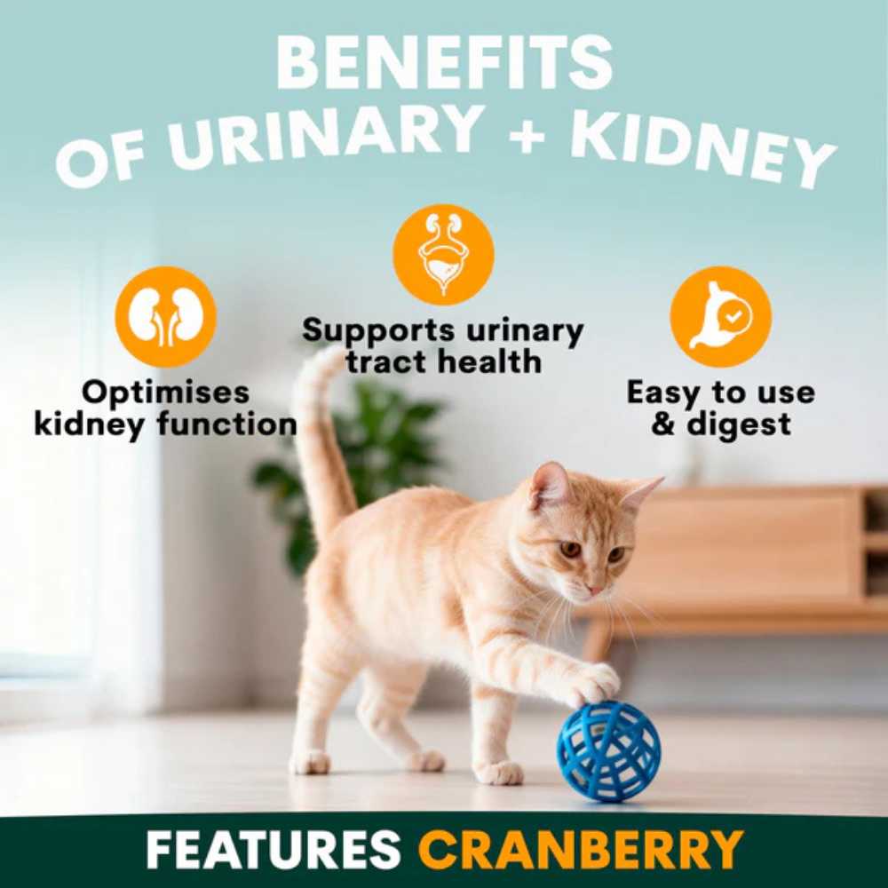 Petz Park Supplement For Cats | Urinary + Kidney