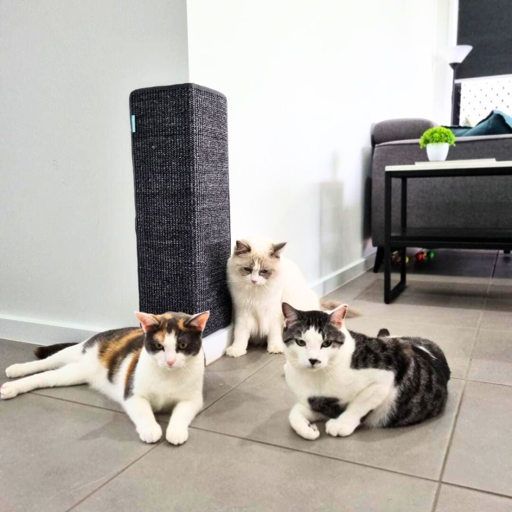 Sisal Corner Wall Scratcher