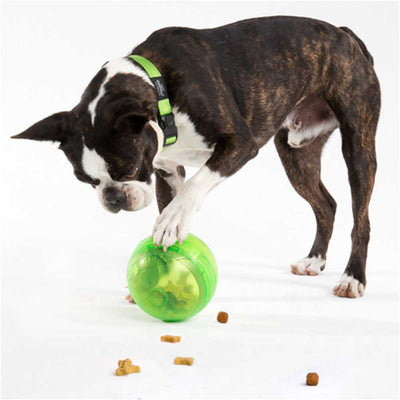 Rogz Tumbler Dog Treat Dispenser Toy, Lime