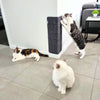 Sisal Corner Wall Scratcher