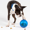 Rogz Tumbler Dog Treat Dispenser Toy, Blue