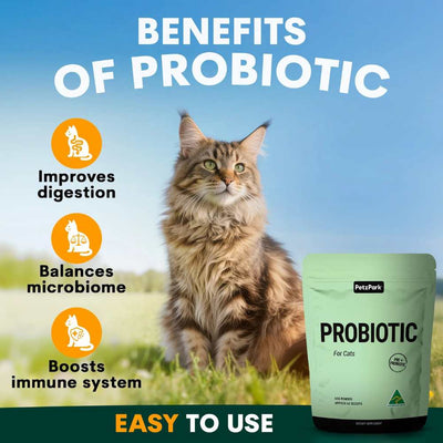 Petz Park Supplement For Cats | Probiotic