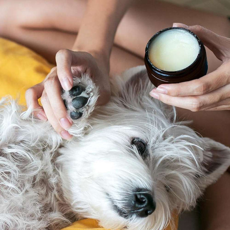Essential Dog Organic Nose & Paw Balm