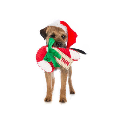 Candy Cane Christmas Dog Toy