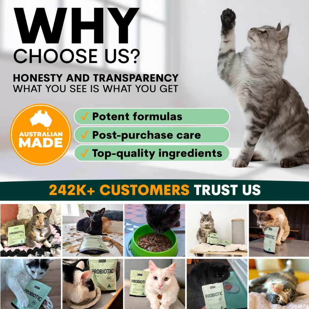 Petz Park Supplement For Cats | Probiotic