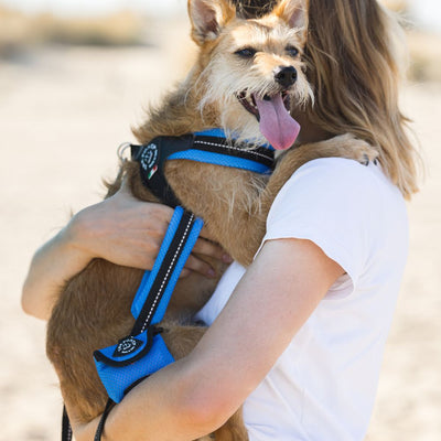 Tre Ponti Mesh Adjustable Girth Easy Fit Pet Harness, Blue