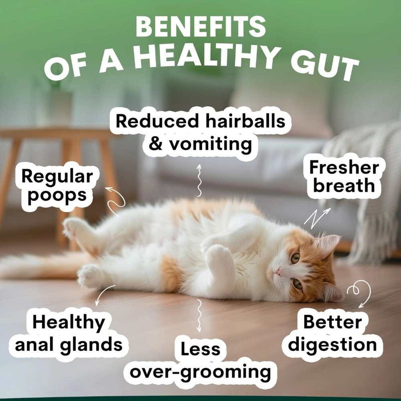 Petz Park Supplement For Cats | Probiotic