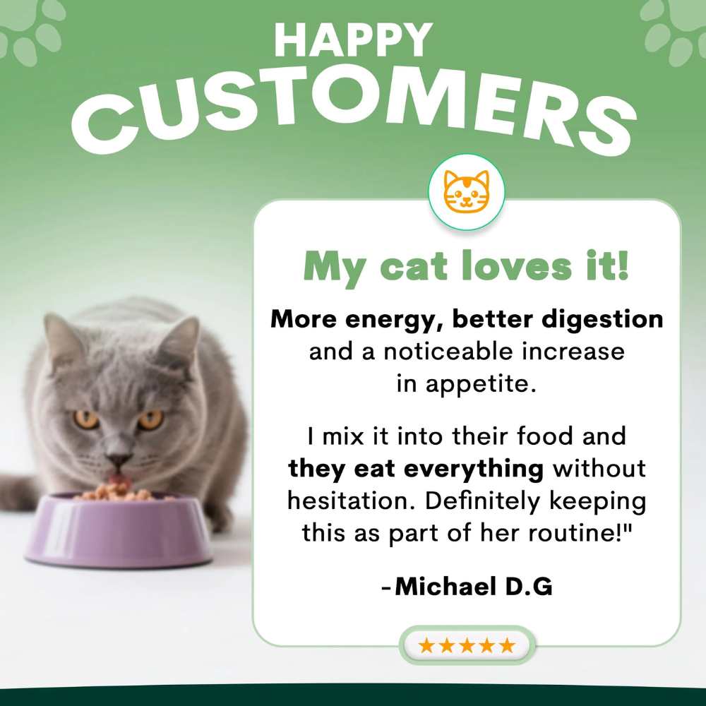 Petz Park Supplement For Cats | Probiotic